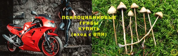 трава Балабаново