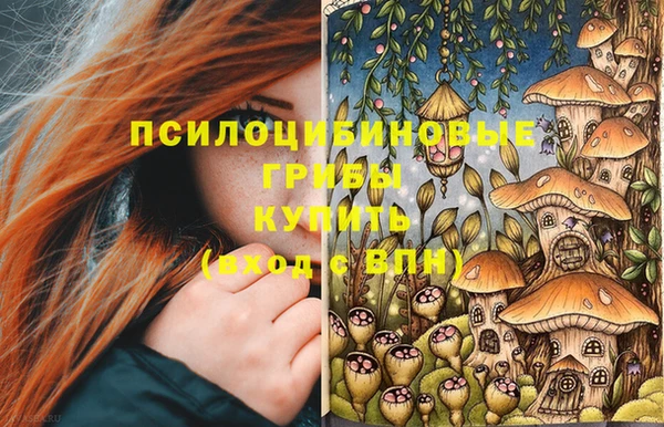 трава Баксан