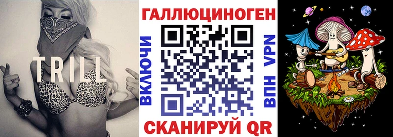 блэк спрут зеркало  Лянтор  Псилоцибиновые грибы мицелий 